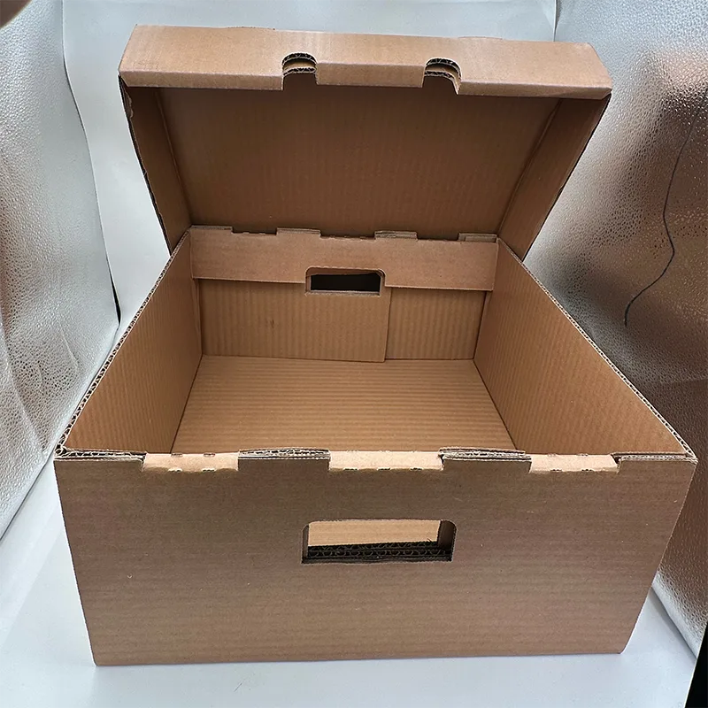 Grande boîte en carton étanche