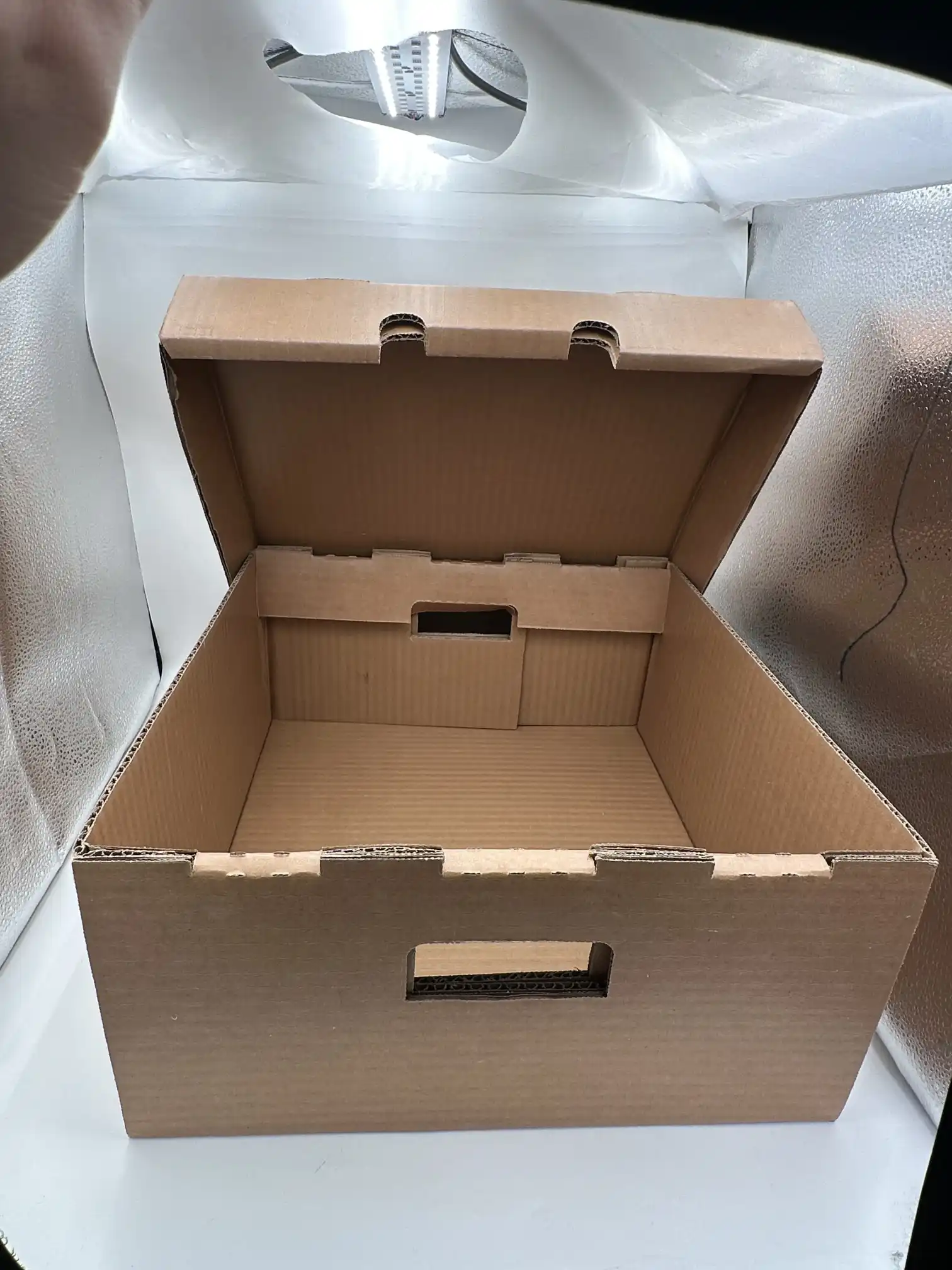 Grande boîte en carton ondulé ciré